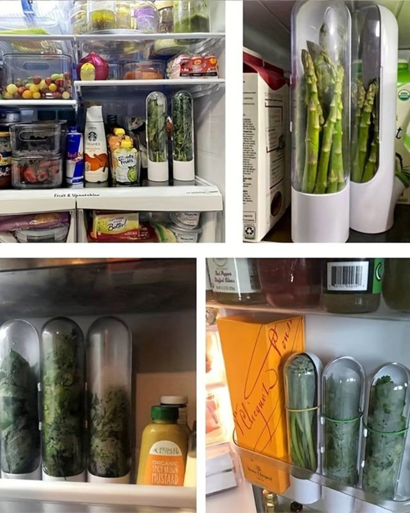 Pojemnik organizer Herb Keeper na zioła warzywa mini szklarnia (10) Pojemnik organizer Herb Keeper na zioła warzywa mini szklarnia