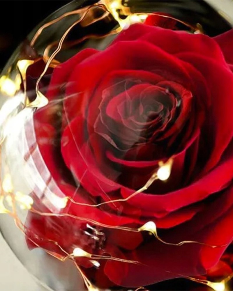 Wieczna róża w szkle LED świecąca Forever Love + pudełko