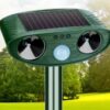 Odstraszacz solarny kretów na gryzonie kuny koty ptaki myszy szczury ultradźwięki czujnik ruchu